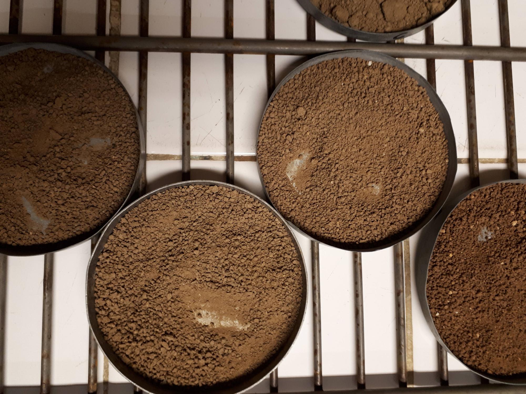 Laboratoire fleurs var production